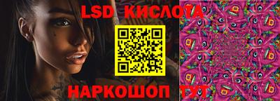 a pvp Краснодар