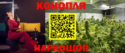 a pvp Краснодар
