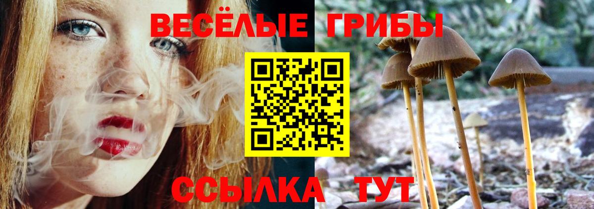 Галлюциногенные грибы Psilocybine cubensis Арсеньев