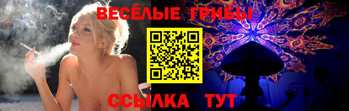 Псилоцибиновые грибы Magic Shrooms  Вход с VPN  Арсеньев 